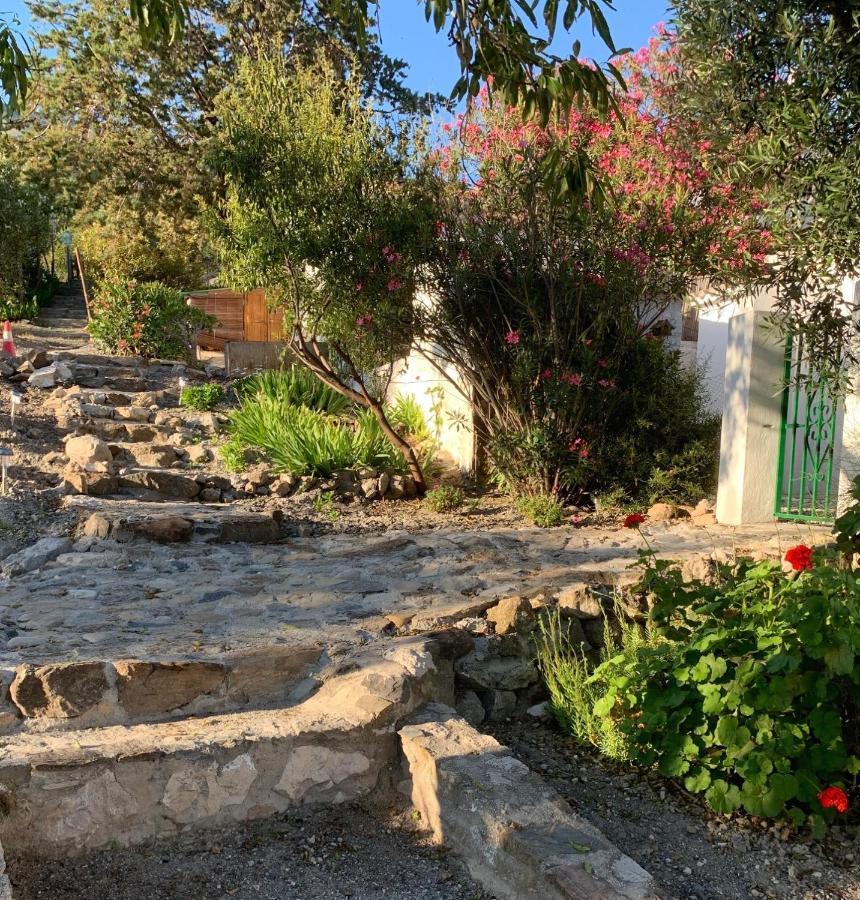 Casa Anita - La Almona Chica Guest House El Chorro Exterior photo